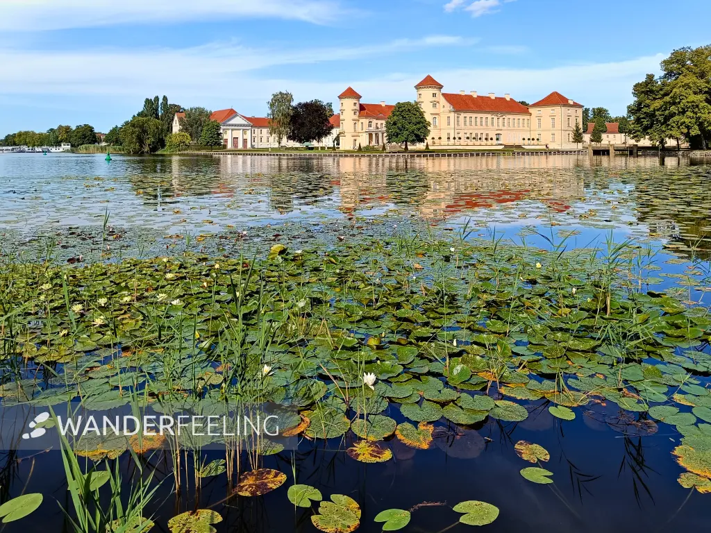 202508110-20 - Schloss Rheinsberg, Ruppiner Seenland, Brandenburg, Deutschland