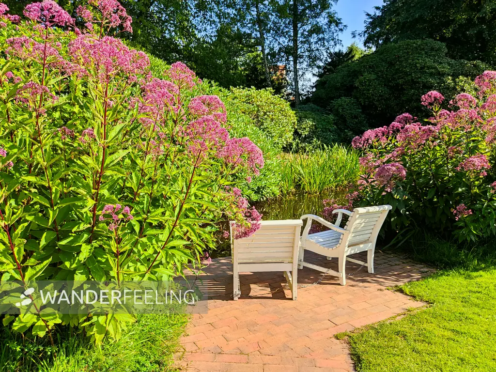 202308160-32 - Schlossgarten Oldenburg, Oldenburger Land, Niedersachsen, Deutschland