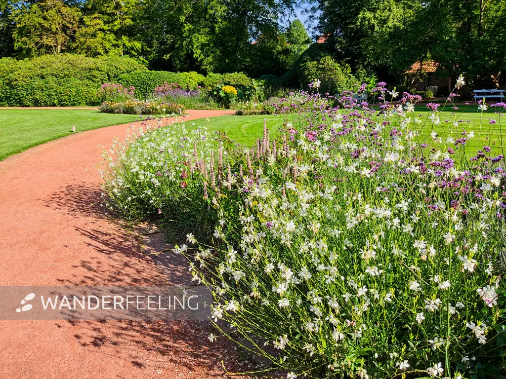 202308160-33 - Schlossgarten Oldenburg, Oldenburger Land, Niedersachsen, Deutschland