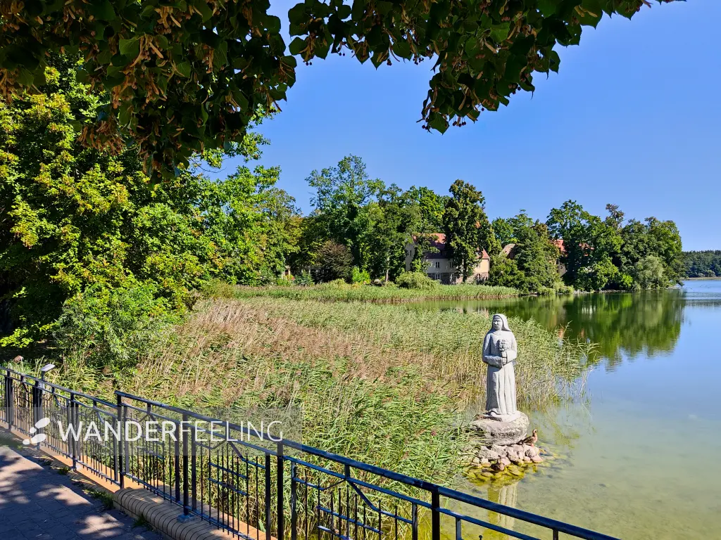 202309040-05 - »Schöne Nonne« im Wutzsee bei Lindow, Ruppiner Seenland, Brandenburg, Deutschland
