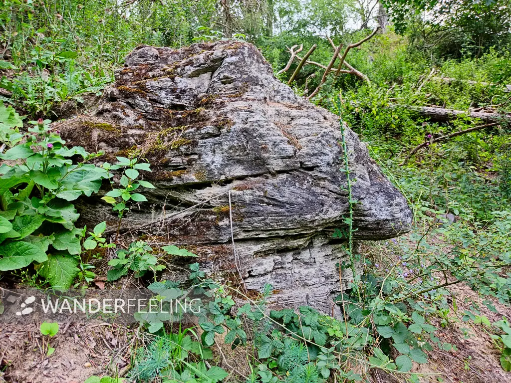 202308050-07 - Schollenstein bei Grubo, Fläming, Brandenburg, Deutschland