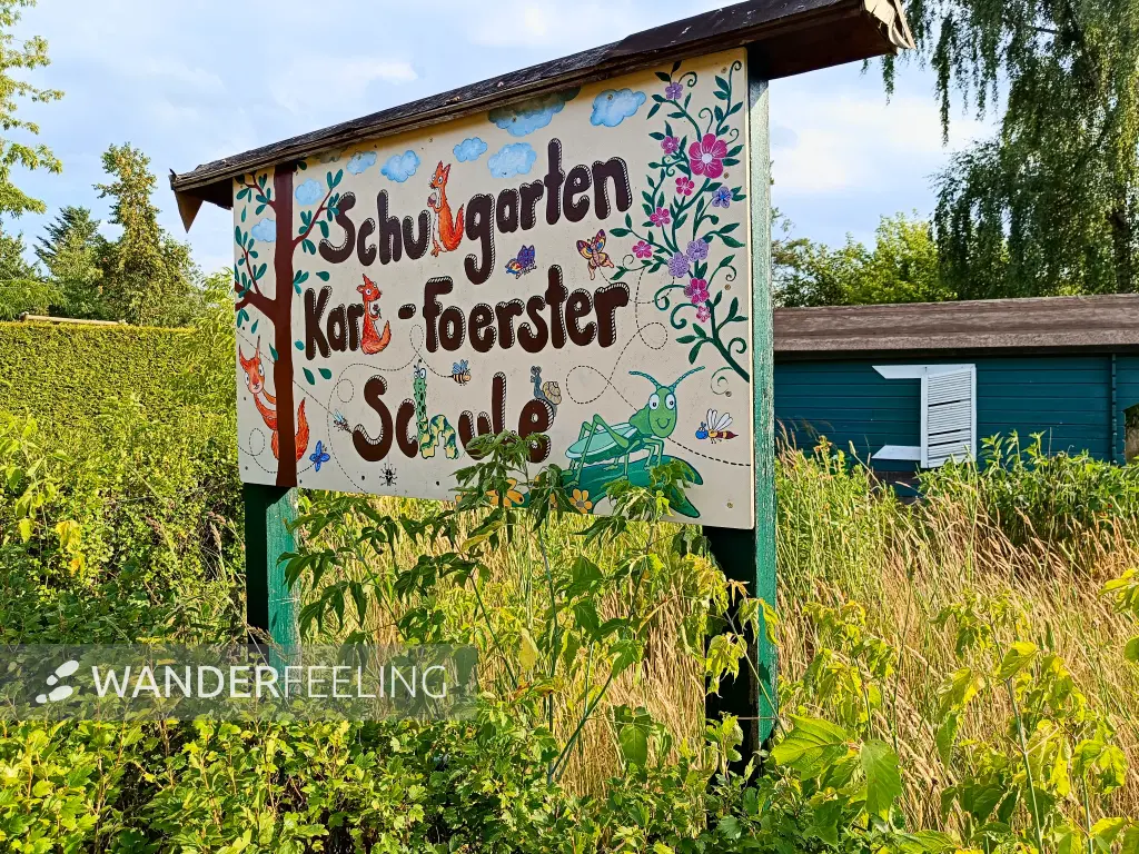 202506250-09 - Schulgarten der Karl-Foerster-Schule, Potsdam, Brandenburg, Deutschland