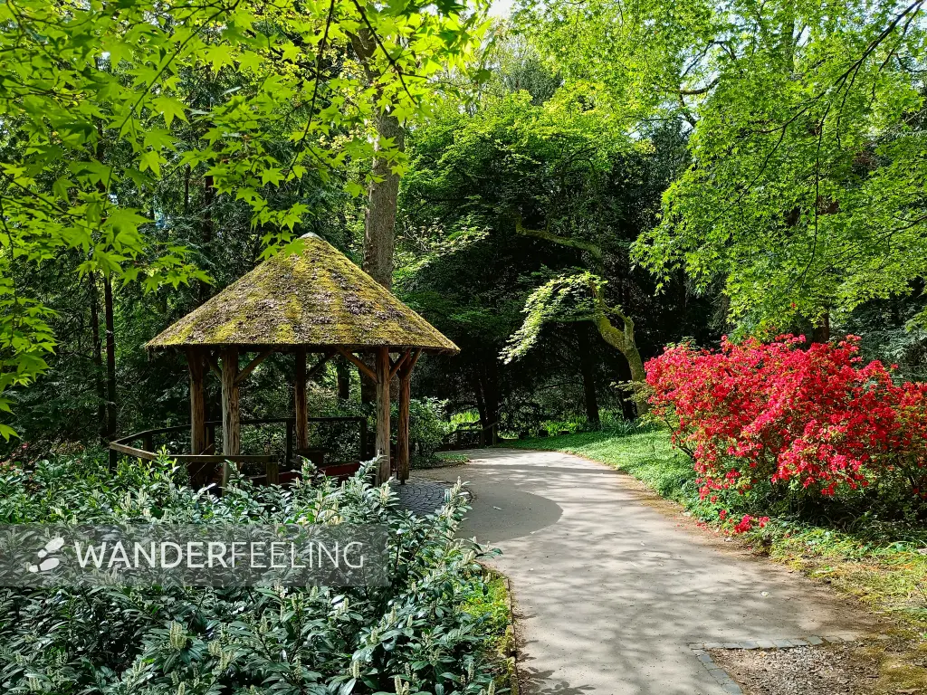 202604280-07 - Schutzhütte im Rombergpark in Dortmund, Ruhrgebiet, Nordrhein-Westfalen, Deutschland