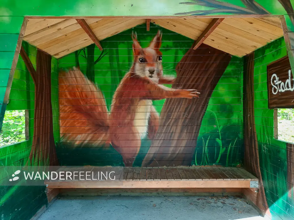 202604210-14 - Schutzhütte mit Eichhörnchen im Stadtwald Hagen, Ruhrgebiet, Nordrhein-Westfalen, Deutschland