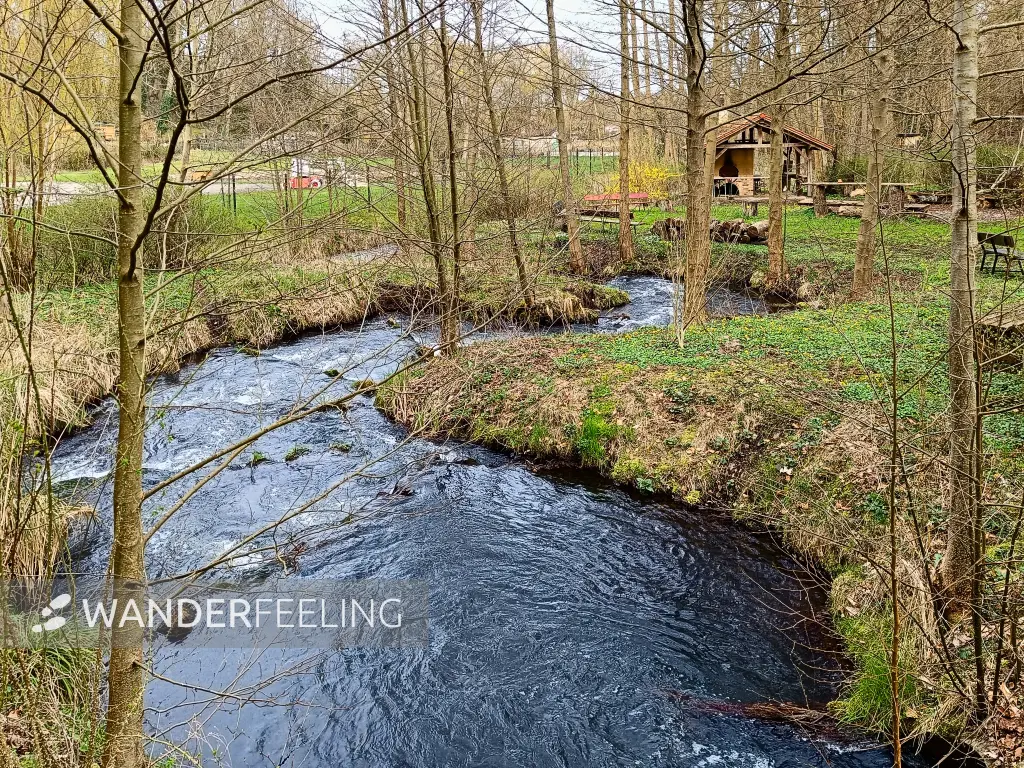 202403270-32 - Schwärze in Eberswalde, Barnimer Land, Brandenburg, Deutschland