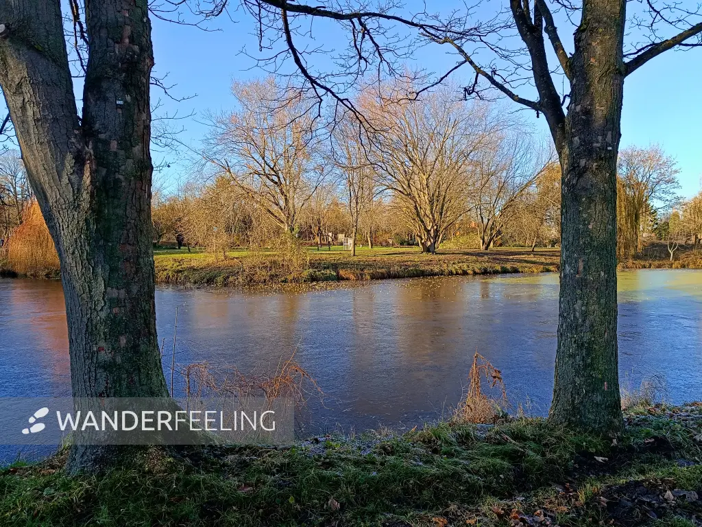 202511210-21 - Schwanenteich im August-Bebel-Park in Stendal, Altmark, Sachsen-Anhalt, Deutschland