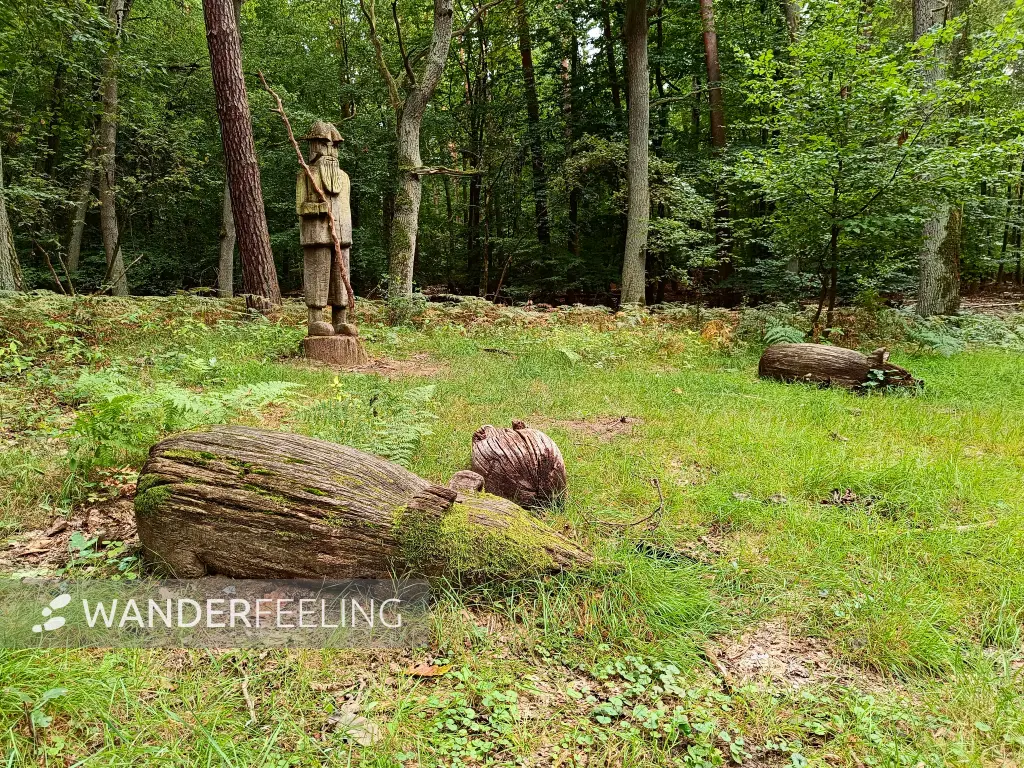 202508300-29 - Schweinehirte im Spandauer Forst, Berlin, Deutschland