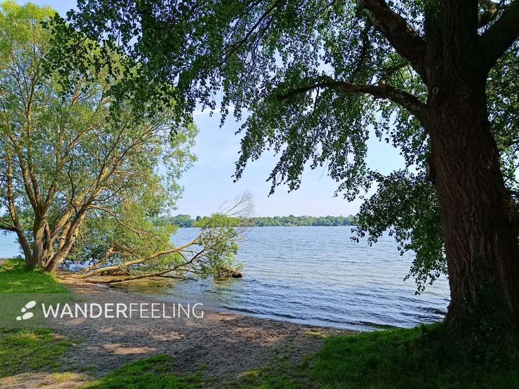 202506170-29 - Schweriner Außensee bei Gallentin, Mecklenburgische Seenplatte, Mecklenburg-Vorpommern, Deutschland