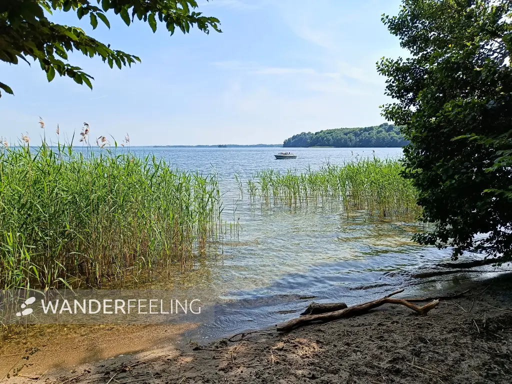202506170-31 - Schweriner Außensee bei Gallentin, Mecklenburgische Seenplatte, Mecklenburg-Vorpommern, Deutschland