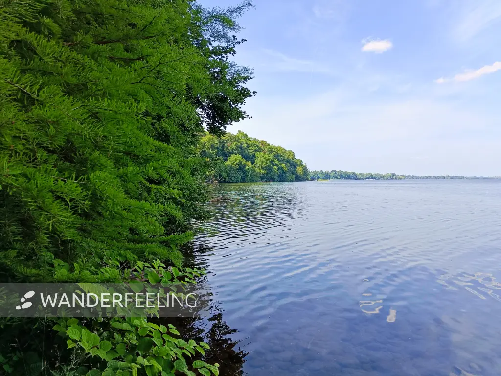 202506170-39 - Schweriner Außensee bei Gallentin, Mecklenburgische Seenplatte, Mecklenburg-Vorpommern, Deutschland