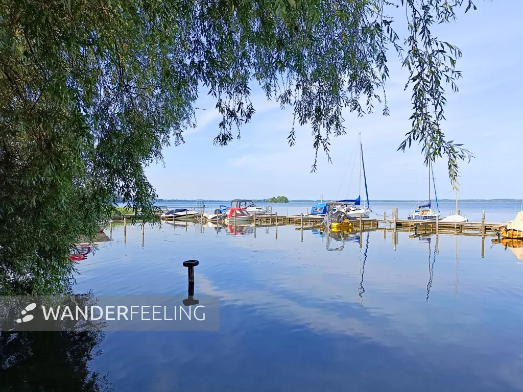 202506170-45 - Schweriner Außensee bei Lübstorf, Mecklenburgische Seenplatte, Mecklenburg-Vorpommern, Deutschland