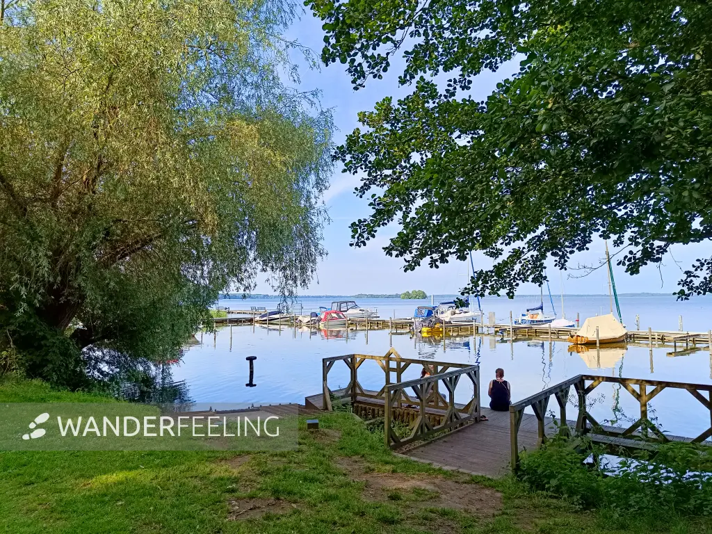 202506170-46 - Schweriner Außensee bei Lübstorf, Mecklenburgische Seenplatte, Mecklenburg-Vorpommern, Deutschland