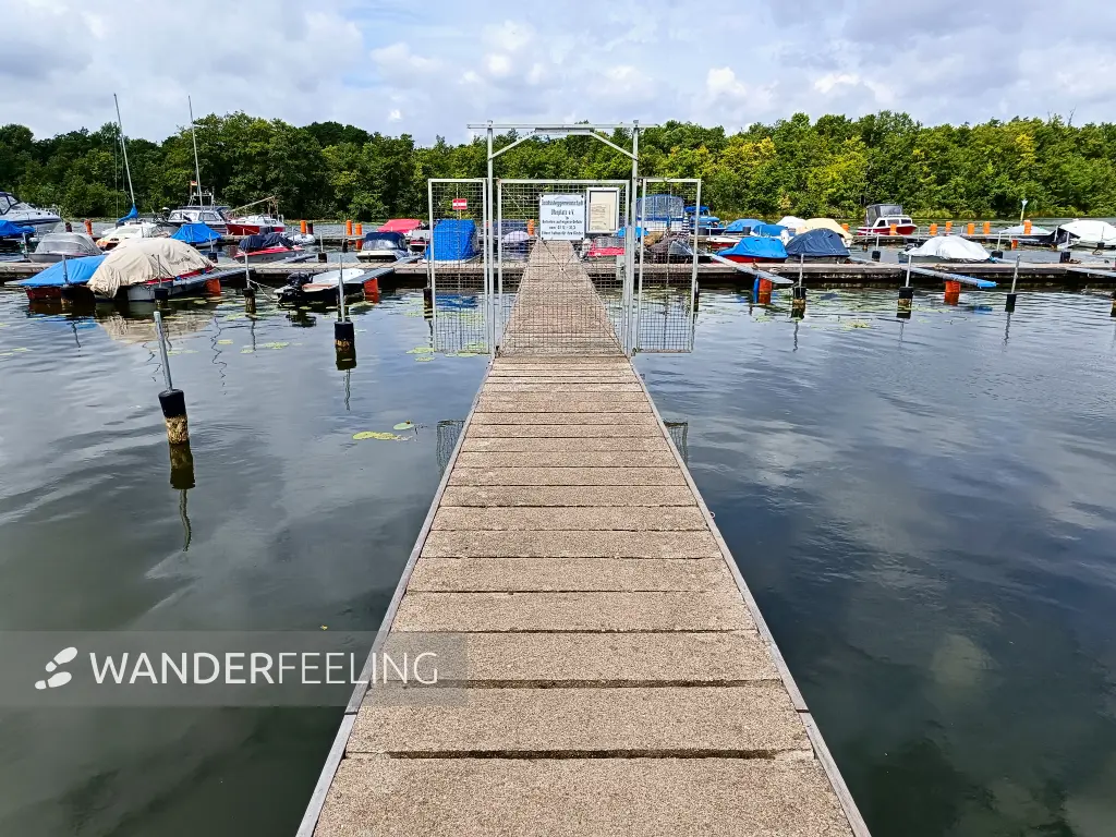 202406220-20 - Seddinsee bei Gosen, Seenland Oder-Spree, Brandenburg, Deutschland