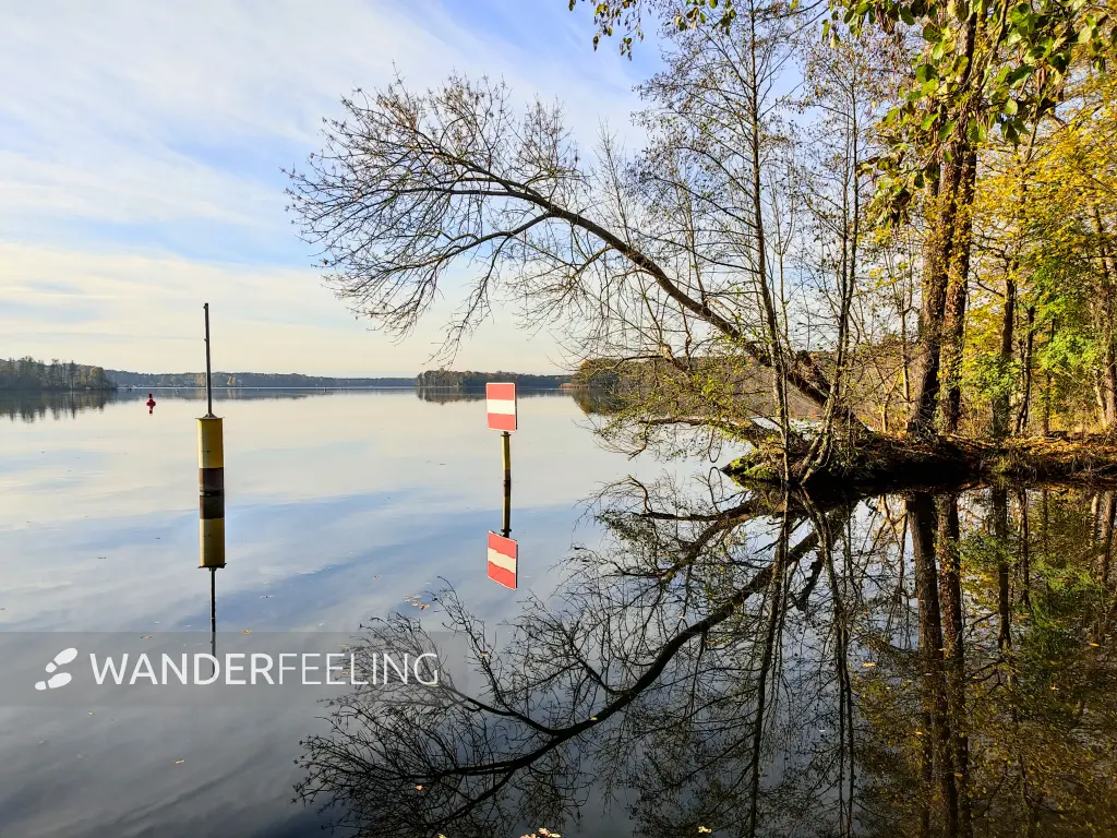 202311130-17 - Seddinsee bei Müggelheim, Berlin, Deutschland