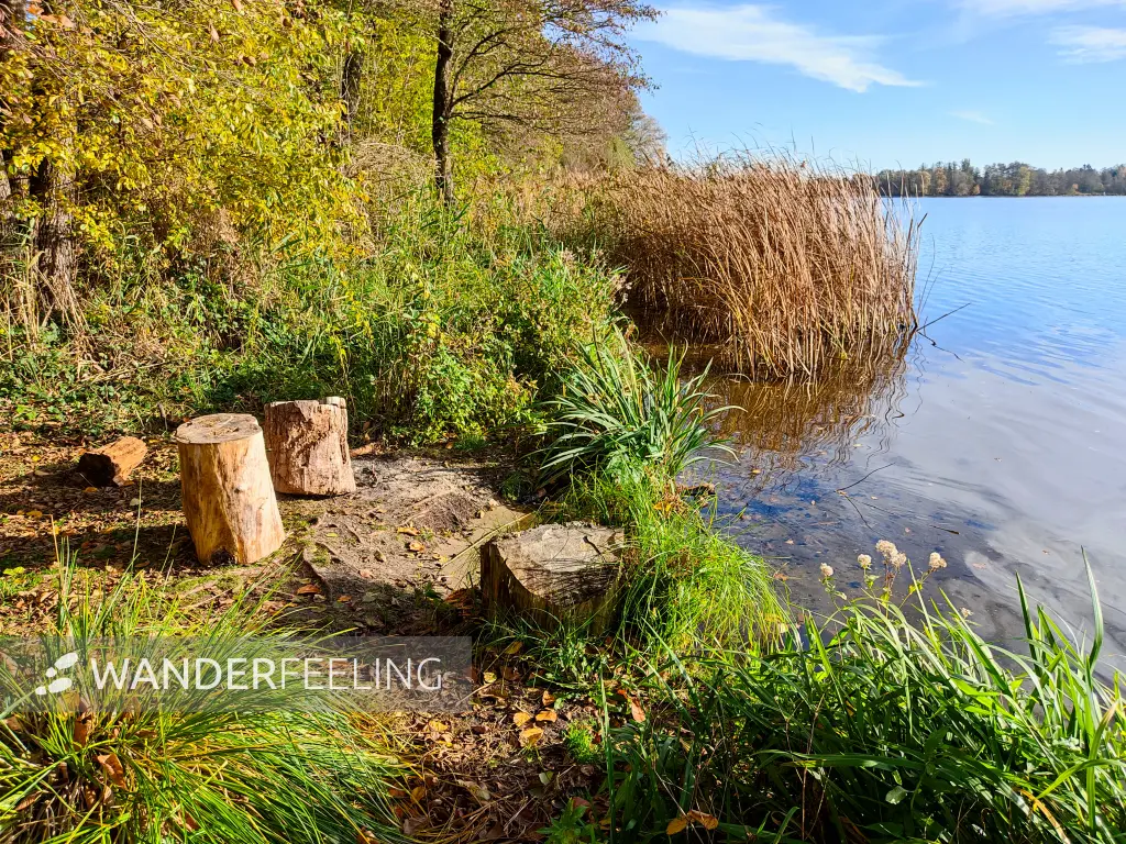 202311130-19 - Seddinsee bei Müggelheim, Berlin, Deutschland