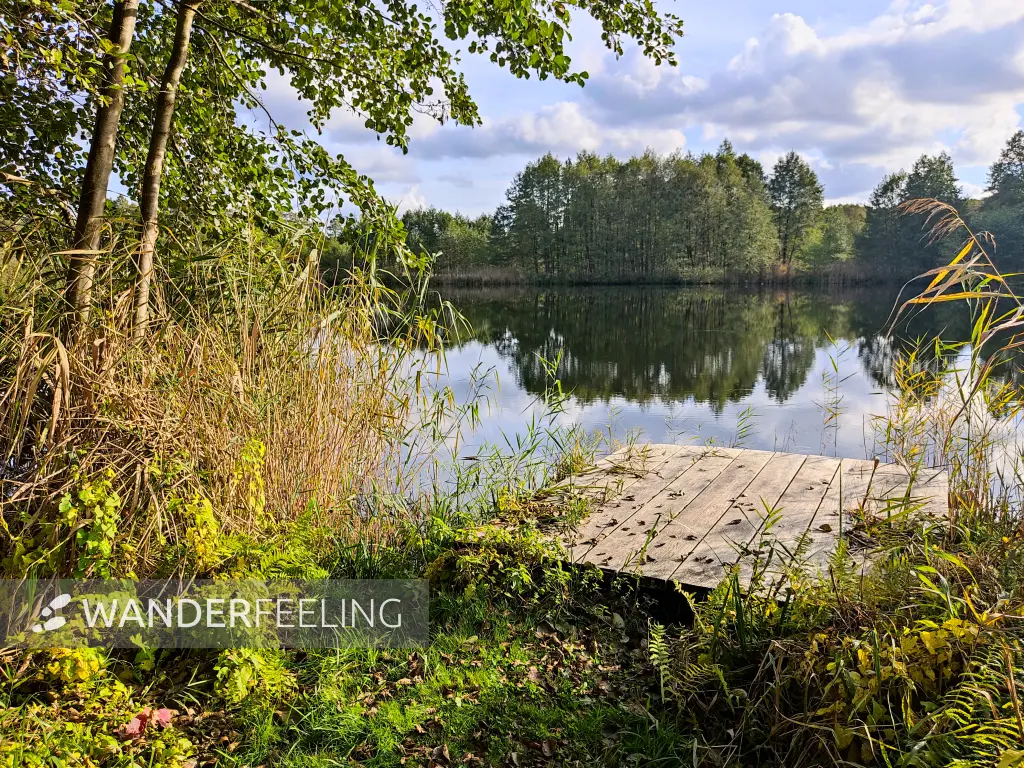 202310250-31 - See bei Emstal, Fläming, Brandenburg, Deutschland