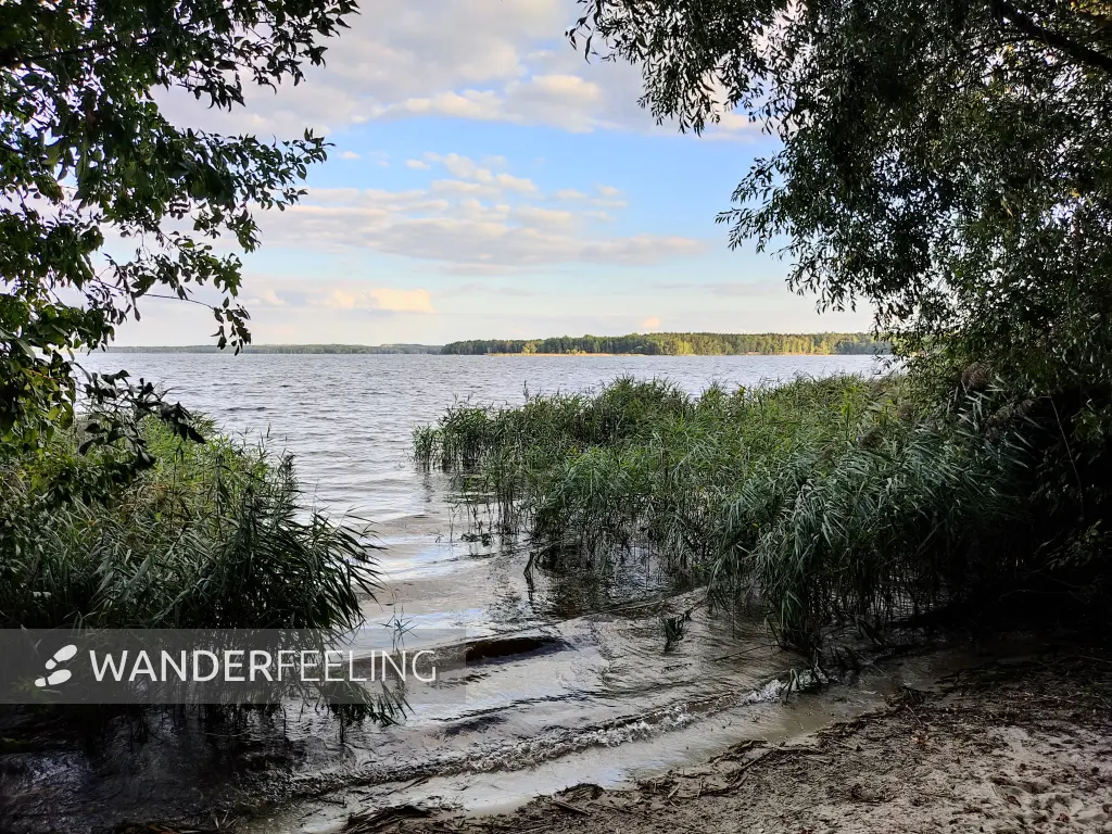 202309150-35 - Senftenberger See bei Brieske, Lausitz, Brandenburg, Deutschland