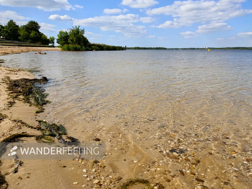 202309150-15 - Senftenberger See bei Großkoschen, Lausitz, Brandenburg, Deutschland