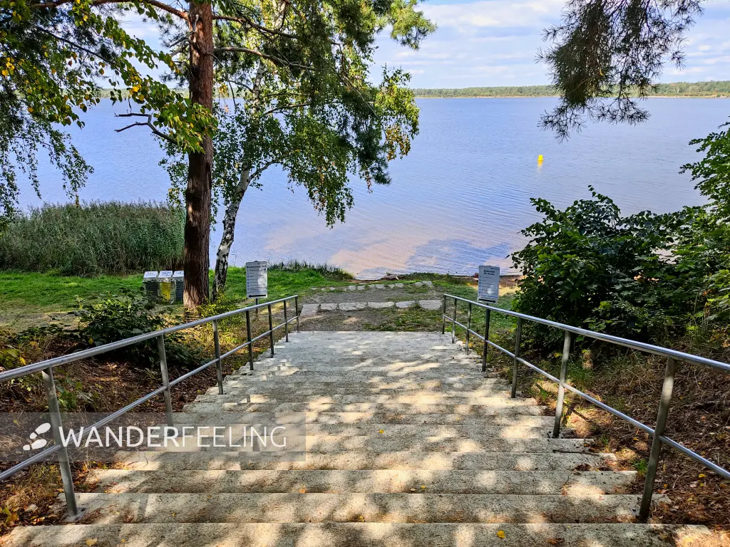202309150-16 - Senftenberger See bei Großkoschen, Lausitz, Brandenburg, Deutschland