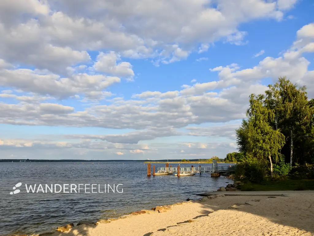 202309150-32 - Senftenberger See bei Niemtsch, Lausitz, Brandenburg, Deutschland