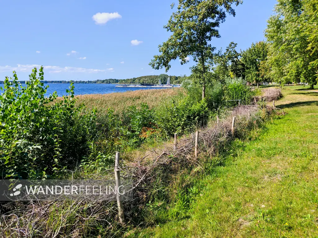 202309150-07 - Senftenberger See bei Senftenberg, Lausitz, Brandenburg, Deutschland