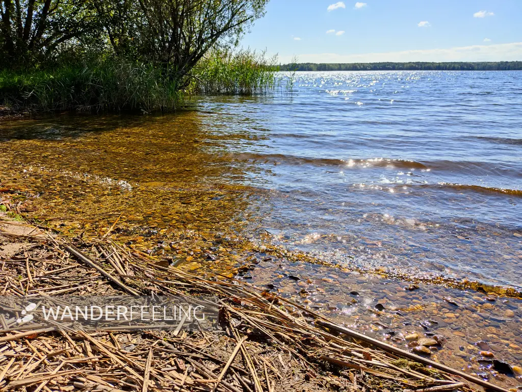 202309150-08 - Senftenberger See bei Senftenberg, Lausitz, Brandenburg, Deutschland