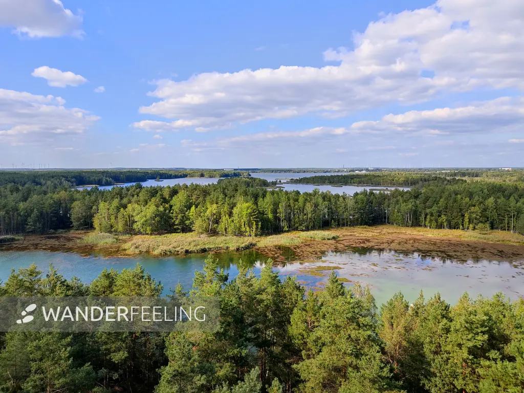202309150-19 - Senftenberger See zwischen Großkoschen und Niemtsch, Lausitz, Brandenburg, Deutschland