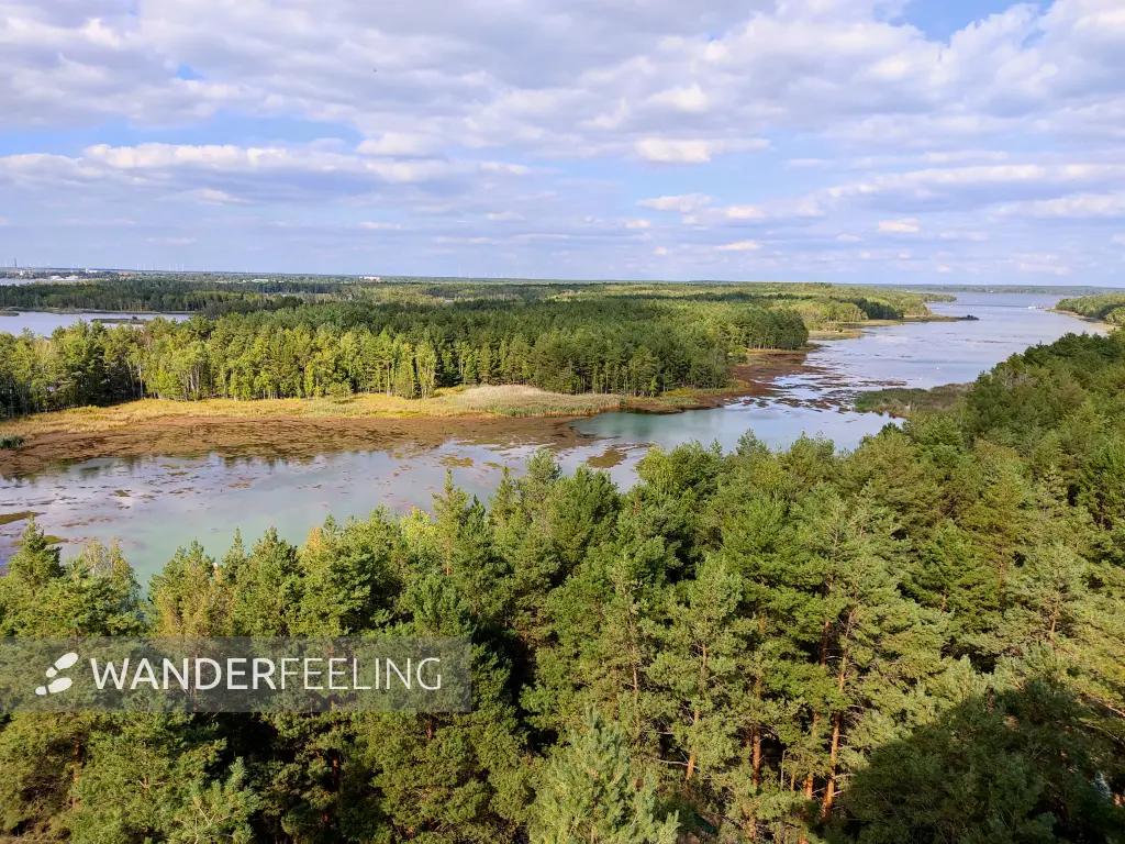 202309150-20 - Senftenberger See zwischen Großkoschen und Niemtsch, Lausitz, Brandenburg, Deutschland