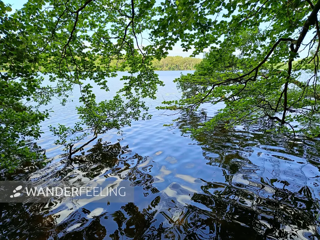 202506110-03 - Sidowsee bei Himmelpfort, Ruppiner Seenland, Brandenburg, Deutschland