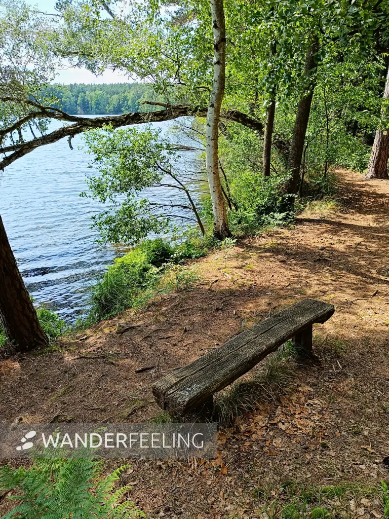 202506110-09 - Sidowsee bei Himmelpfort, Ruppiner Seenland, Brandenburg, Deutschland