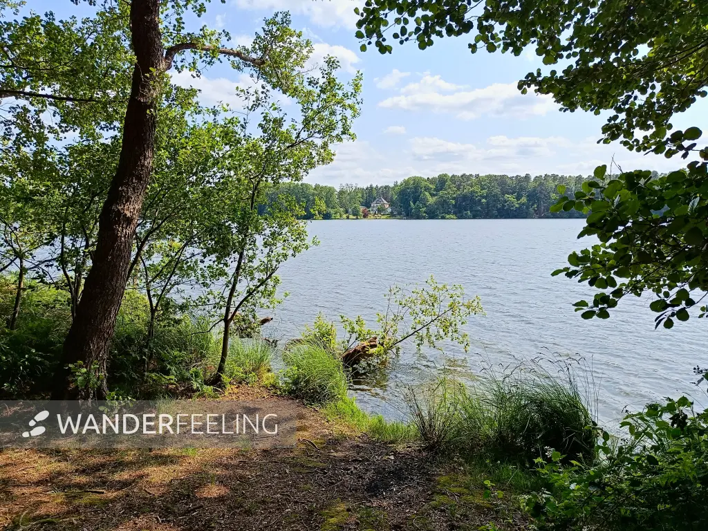 202506110-10 - Sidowsee bei Himmelpfort, Ruppiner Seenland, Brandenburg, Deutschland