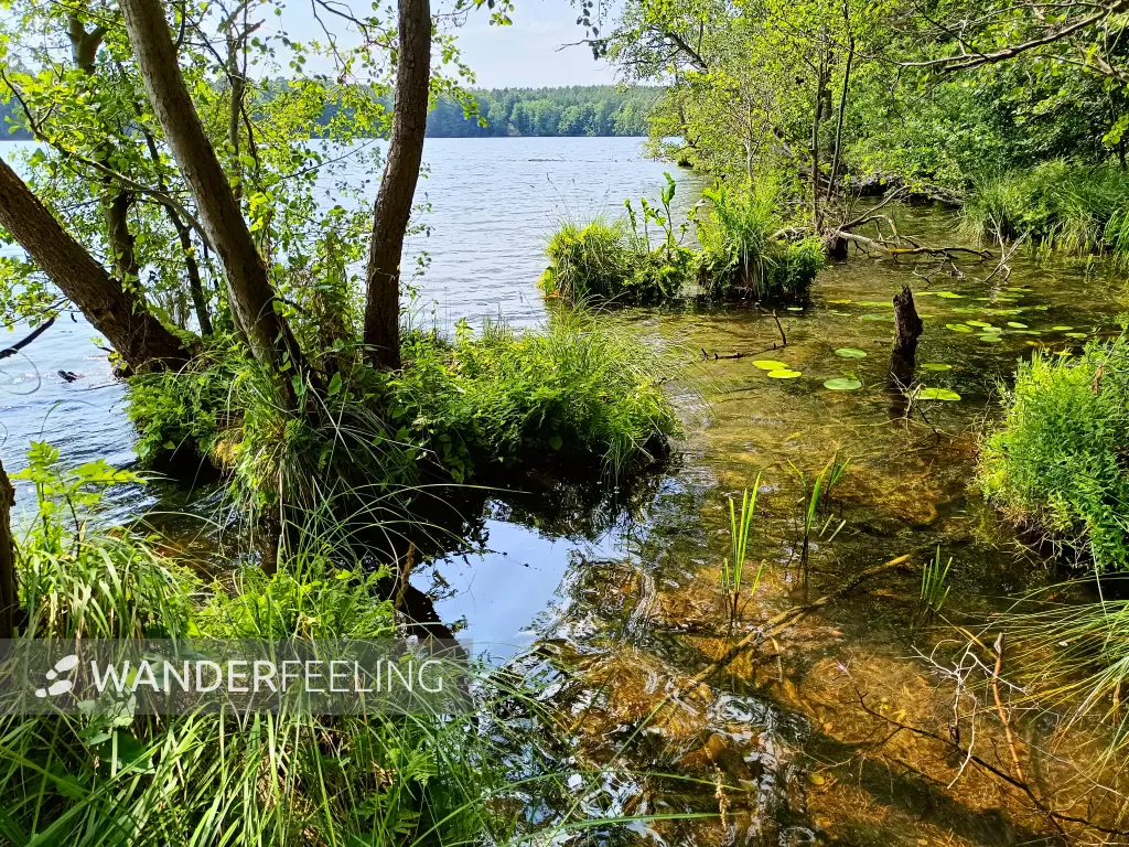202506110-11 - Sidowsee bei Himmelpfort, Ruppiner Seenland, Brandenburg, Deutschland