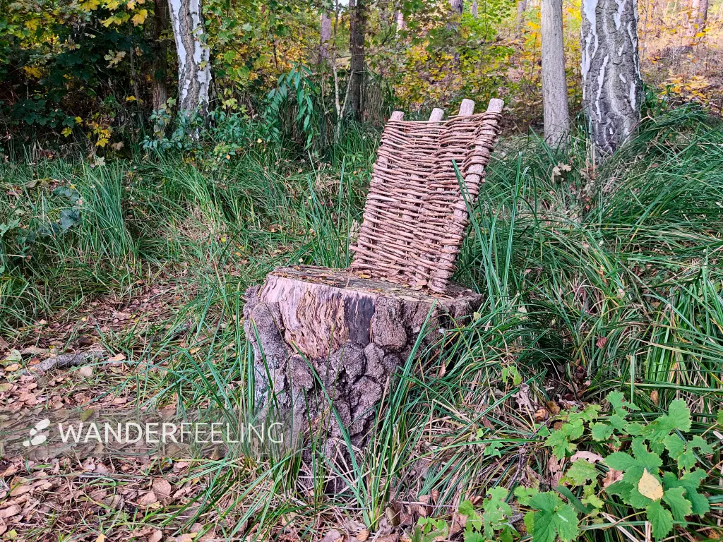 202310250-22 - Sitzplatz bei Emstal, Fläming, Brandenburg, Deutschland