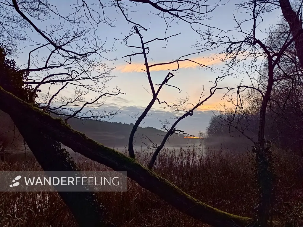 202512200-07 - Sonnenuntergang an der Krummen Lanke, Berlin, Deutschland