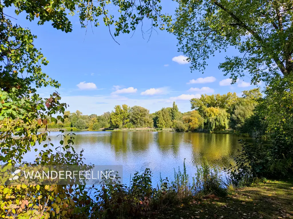 202210040-32 - Spielmannsteich in Braunschweig, Niedersachsen, Deutschland