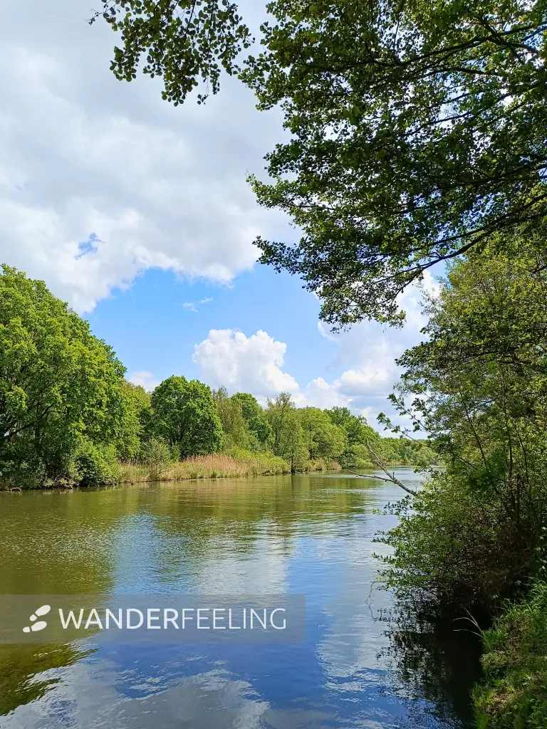 202605160-14 - Spree bei Hartmannsdorf, Spreewald, Brandenburg, Deutschland