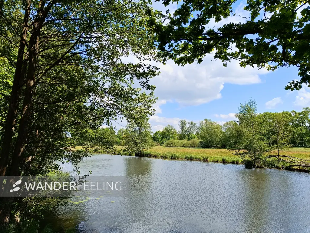 202605160-16 - Spree bei Hartmannsdorf, Spreewald, Brandenburg, Deutschland