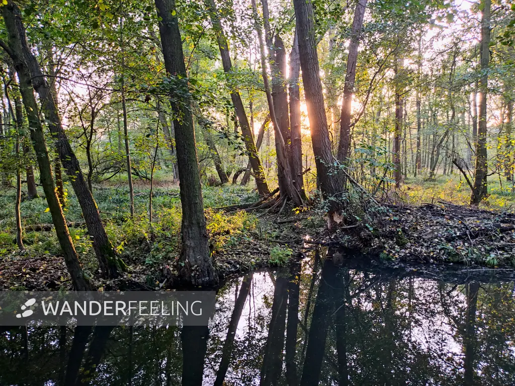 202310230-45 - Spreewaldfließ bei Lehde, Spreewald, Brandenburg, Deutschland