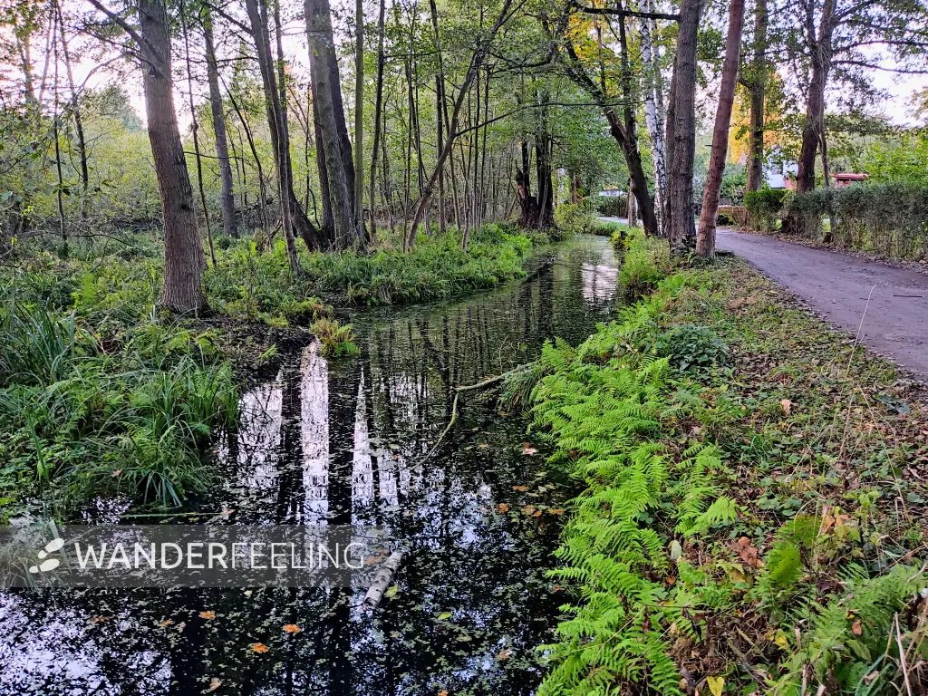 202310230-46 - Spreewaldfließ bei Lübbenau, Spreewald, Brandenburg, Deutschland