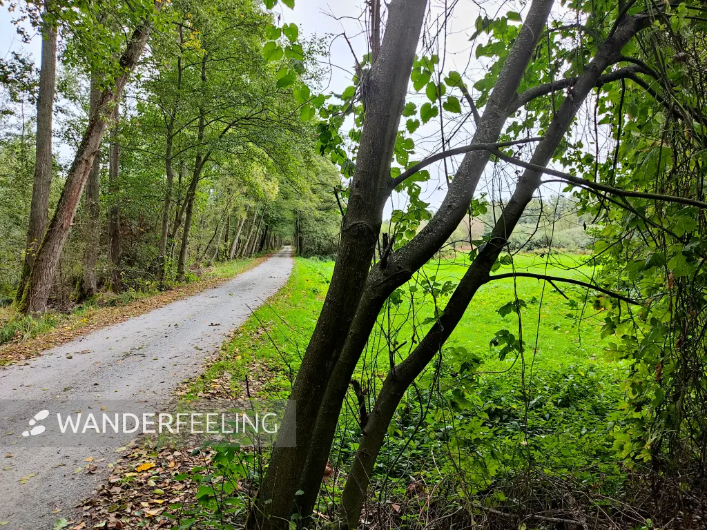 202310060-23 - Spreewaldlandschaft bei Leipe, Spreewald, Brandenburg, DeutschandSpr