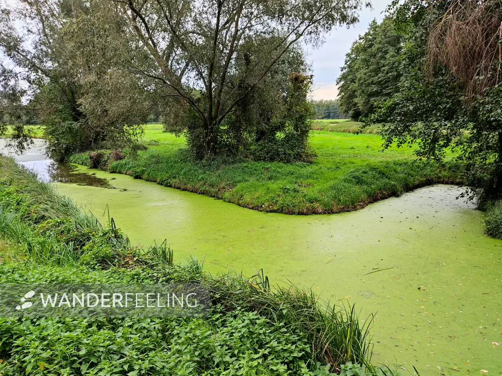 202310060-24 - Spreewaldlandschaft bei Leipe, Spreewald, Brandenburg, DeutschandSpr