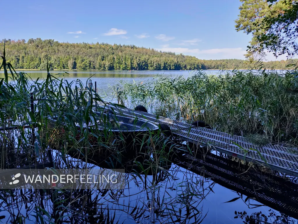 202309160-17 - Springsee bei Limsdorf, Seenland Oder-Spree, Brandenburg, Deutschland