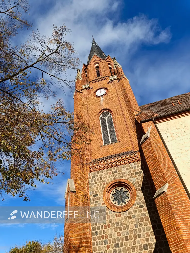 202510210-24 - St. Johannes in Burg Stargard, Mecklenburgische Seenplatte, Mecklenburg-Vorpommern, Deutschland