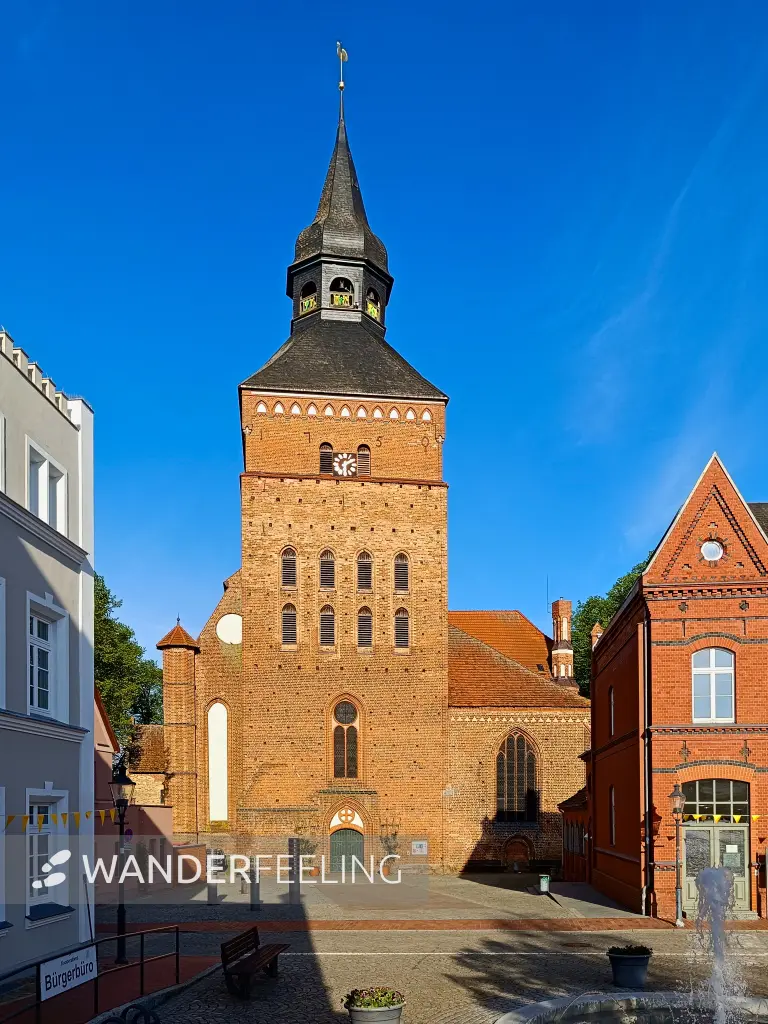 202605040-39 - St. Maria und St. Nikolaus in Sternberg, Mecklenburgische Seenplatte, Mecklenburg-Vorpommern, Deutschland