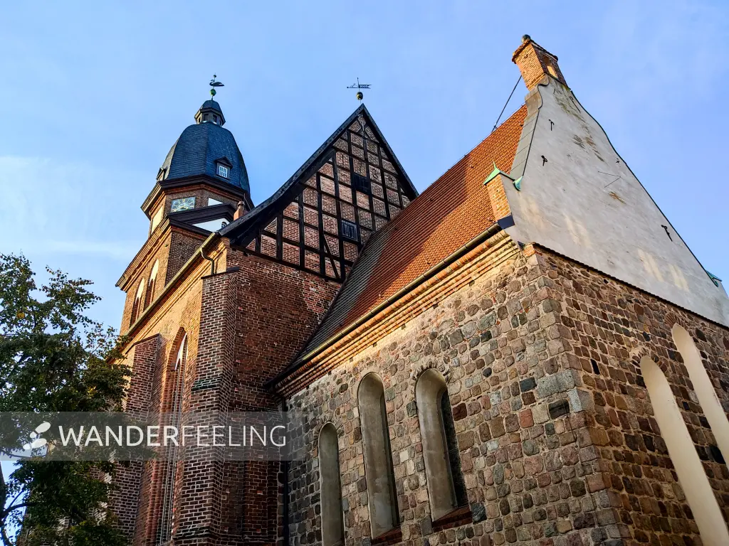 202310300-32 - St. Marien in Waren, Mecklenburgische Seenplatte, Mecklenburg-Vorpommern, Deutschland