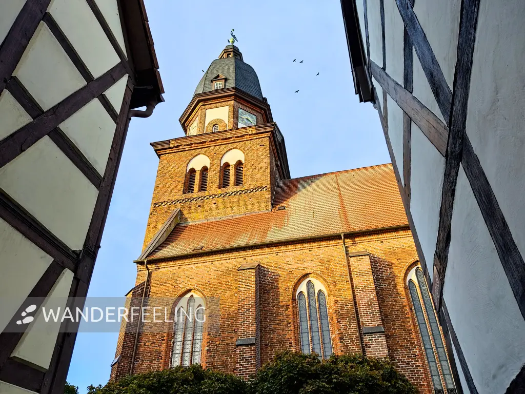 202310300-33 - St. Marien in Waren, Mecklenburgische Seenplatte, Mecklenburg-Vorpommern, Deutschland