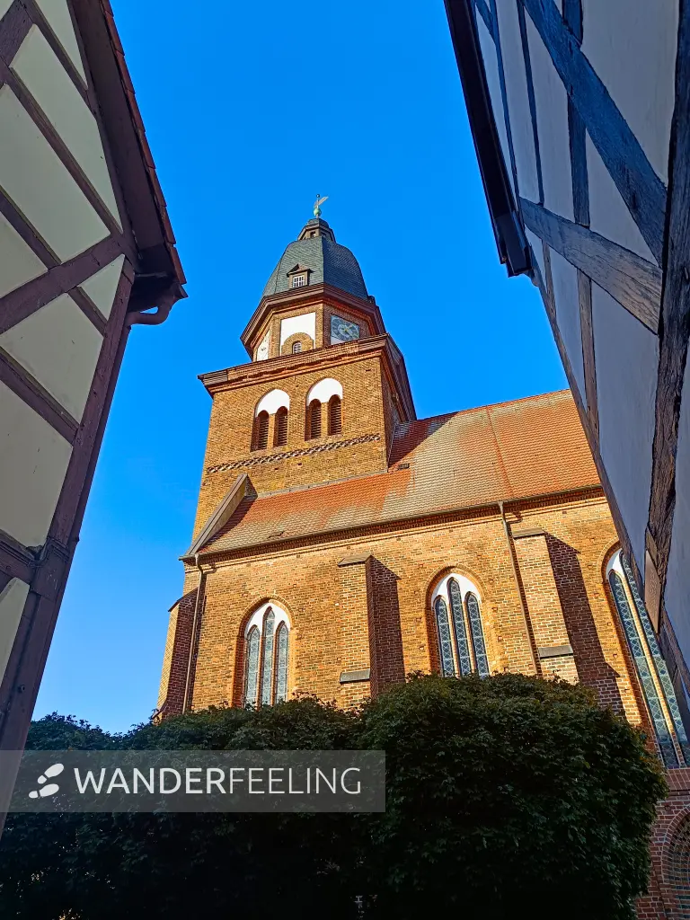 202510180-27 - St. Marien in Waren, Mecklenburgische Seenplatte, Mecklenburg-Vorpommern, Deutschland