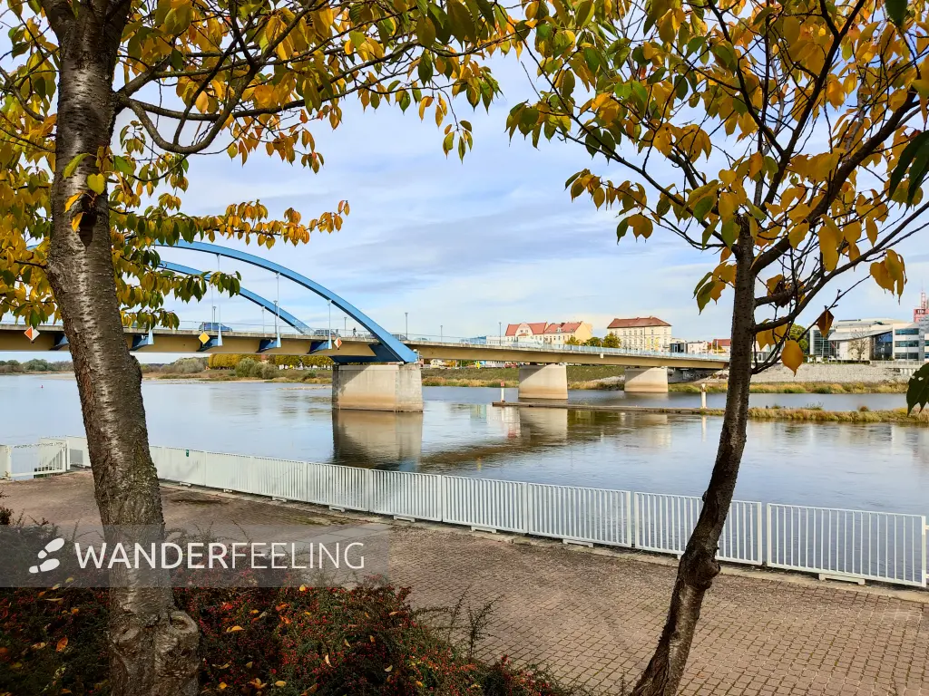 202311020-21 - Stadtbrücke über die Oder in Frankfurt (Oder), Seenland Oder-Spree, Brandenburg, Deutschland