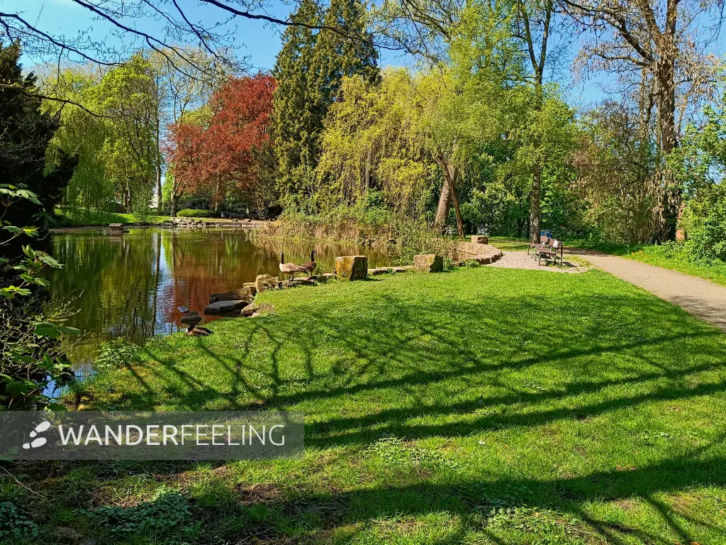 202604210-01 - Stadtgarten in Hagen, Ruhrgebiet, Nordrhein-Westfalen, Deutschland