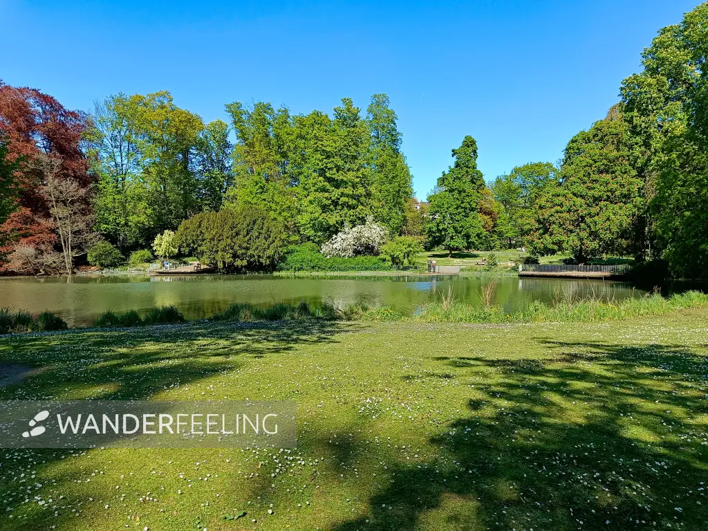 202604231-05 - Stadtgartenweiher im Alten Stadtgarten in Neuss, Niederrhein, Nordrhein-Westfalen, Deutschland